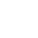 Security and Loss Prevention Consultation Icon