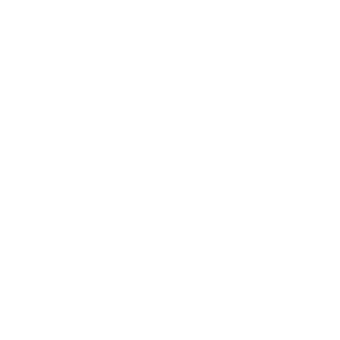 Security Camera Icon