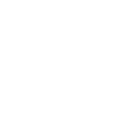 Networking Icon